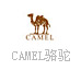 CAMEL骆驼